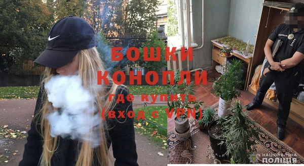 ГАЛЛЮЦИНОГЕННЫЕ ГРИБЫ Остров